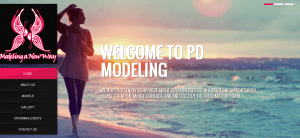 Website designing solution