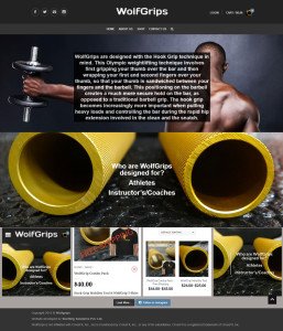 wolfgrips Website Designing and Development Solution By Startling Solutions